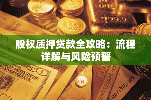 北京股权质押贷款全攻略：流程详解与风险预警