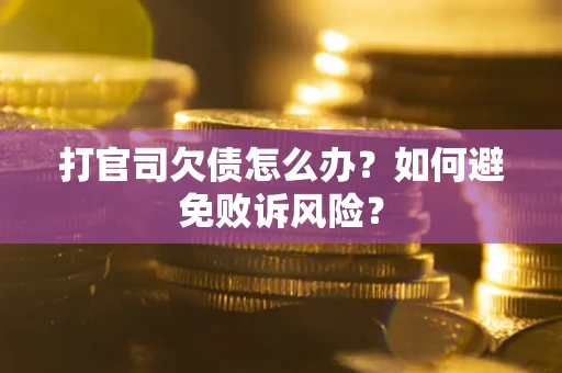 北京打官司欠债怎么办？如何避免败诉风险？